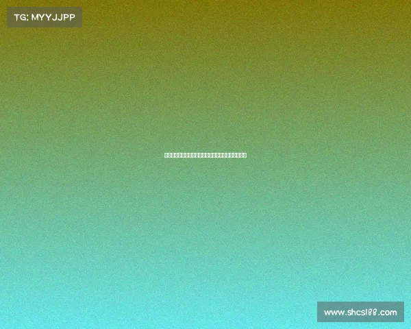 越南女排征战国际赛场展现拼搏精神全力冲刺荣誉殿堂